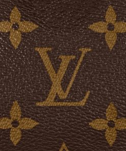 Donna Louis Vuitton Icone Monogram | Nano Speedy