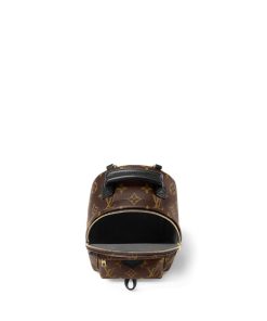 Donna Louis Vuitton Icone Monogram | Zaino Palm Springs Mini