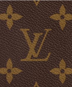 Donna Louis Vuitton Icone Monogram | Borsa Noe Bb