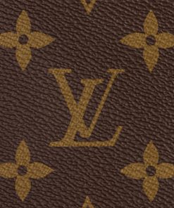 Donna Louis Vuitton Icone Monogram | Borsa Noe